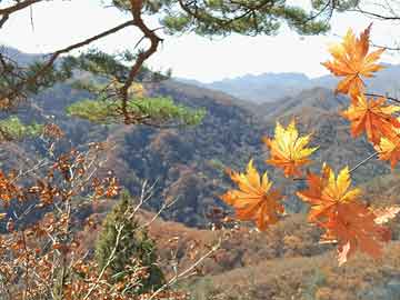 新澳六開彩開獎(jiǎng)號(hào)碼記錄與賭博活動(dòng)的警示