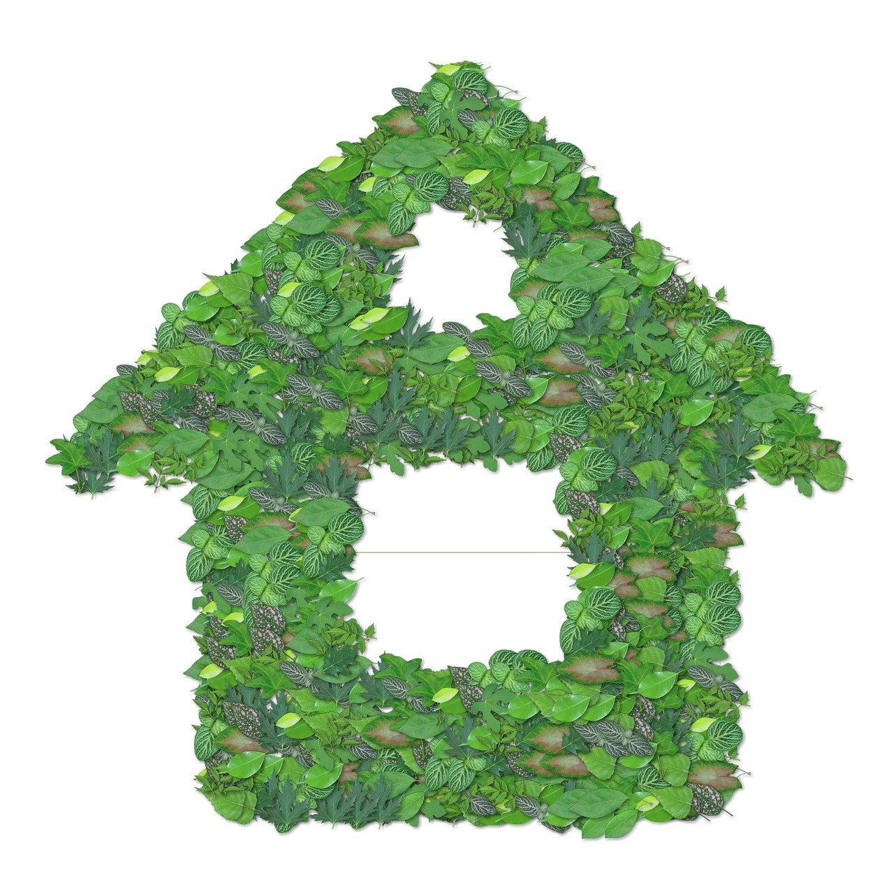 辦公室綠植與室內(nèi)盆栽，美化工作環(huán)境，提升生活品質(zhì)