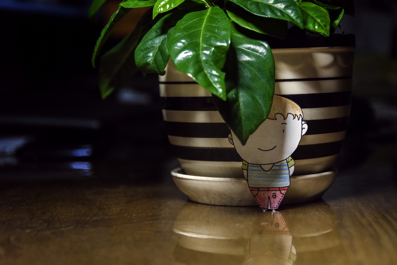 室內(nèi)盆栽茉莉花，清香四溢的綠植之選