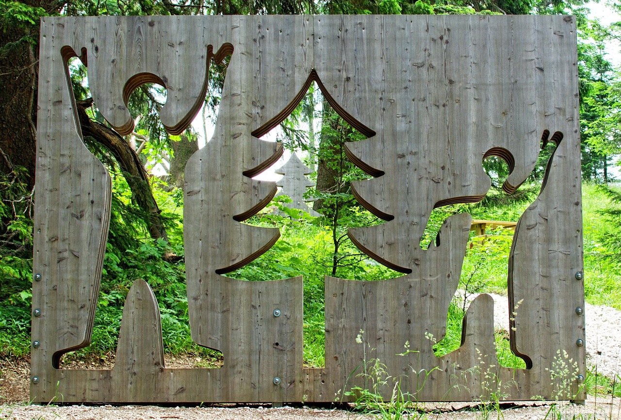 綠植盆栽室內(nèi)落地臥室，美化居住環(huán)境的藝術(shù)