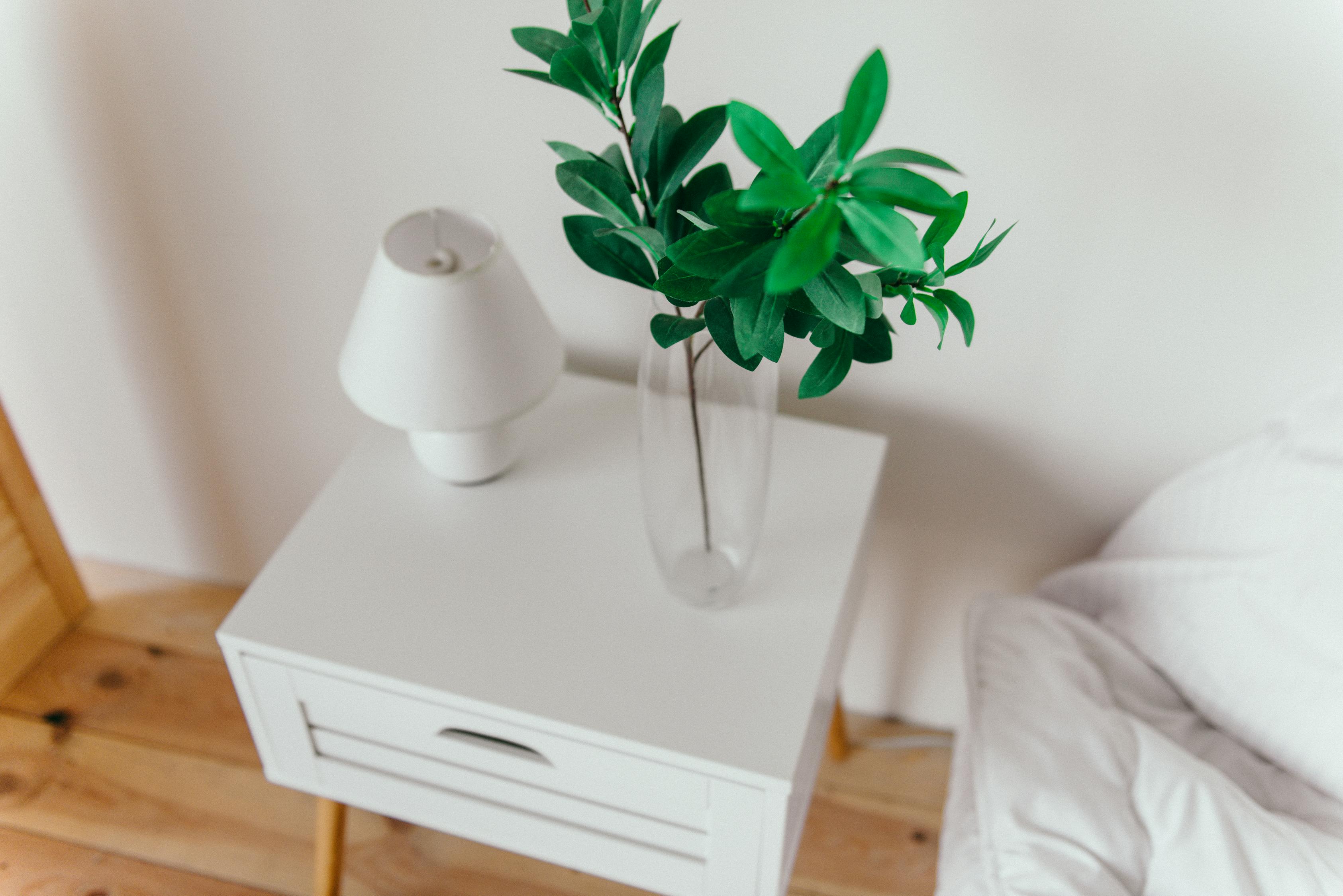 室內(nèi)綠植盆栽與靈璧石，美化家居的完美結(jié)合