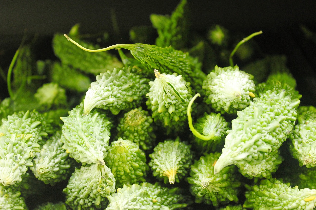 綠植盆栽大全室內(nèi)，美化家居的絕佳選擇
