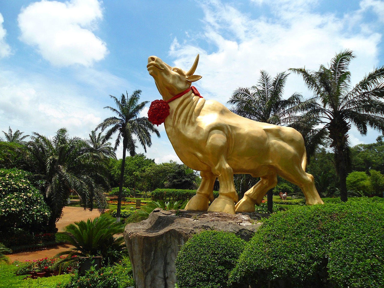 北京奧林匹克公園野兔，城市與自然和諧共生的見證者