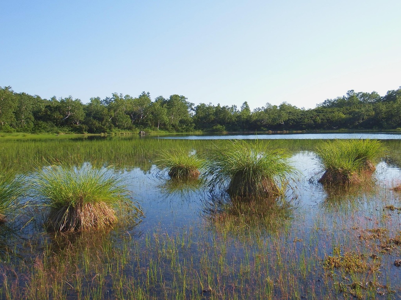北京奧林匹克森林公園洗浴中心，體驗(yàn)與探索