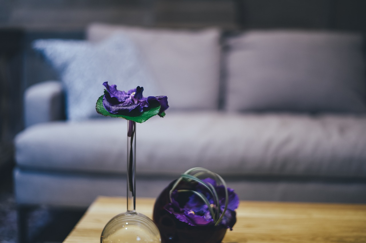 室內(nèi)驅(qū)蟲花卉綠植盆栽，美化家居的同時守護家庭健康