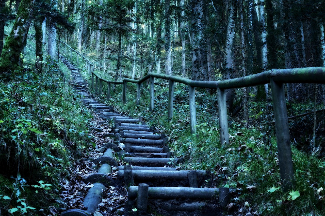大哨森林露營燒烤地點(diǎn)——探索自然之美的絕佳去處