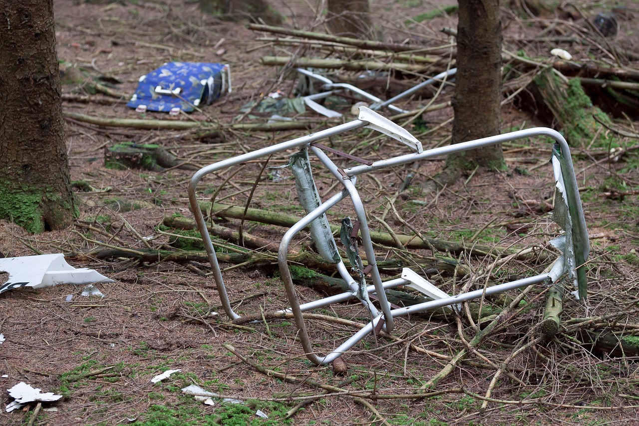 森林公園露營燒烤，可行性與責(zé)任考量